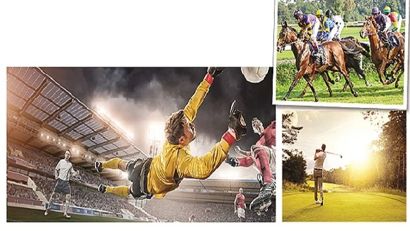 The network hopes to ride the country’s growing interest in football and cash in on the poor coverage of sporting events in horse racing, motor sports and golf The network hopes to ride the country’s growing interest in football and cash in on the poor coverage of sporting events in horse racing, motor sports and golf