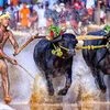 Kambala, Karnataka