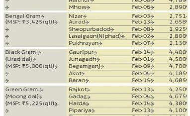 Record yield has pulses prices slide below MSP Pulses, graph