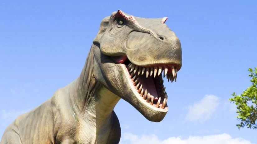 Photo: Shutterstock dinosaur, t rex