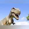 Biggest, most complete dinosaur skeleton to go on sale on November 16 dinosaur, t rex