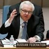 Vitaly Churkin, russia, donald trump