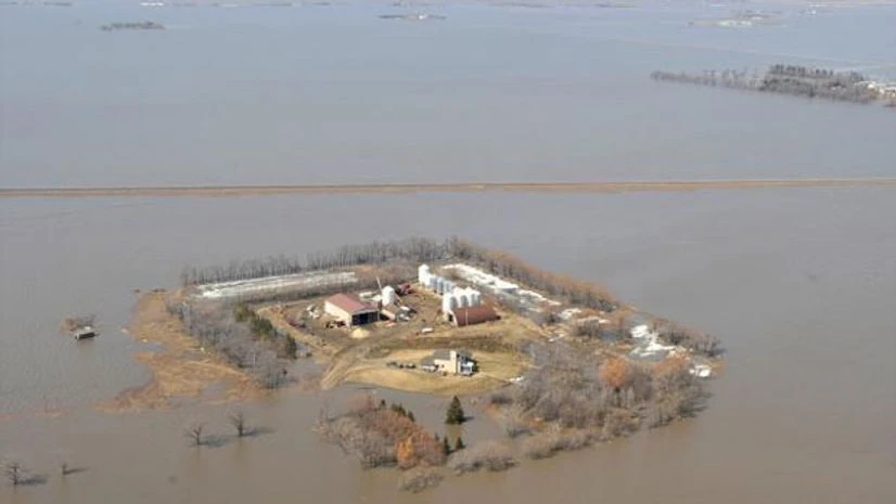 canada, us refugees canada, us refugees