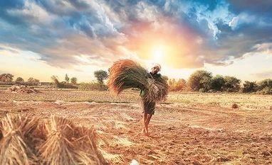 Karnataka plans to allocate Rs 10 cr to agri-innovation startups Farmer, agriculture, farm sector, harvest