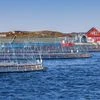 Budget proposals for marine sector to boost India's aquaculture: MPEDA