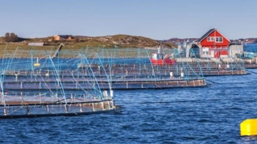 Fish farm Fish farm