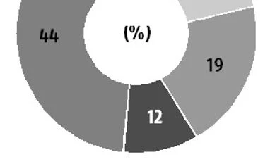 Who did Muslims vote for in UP? graph