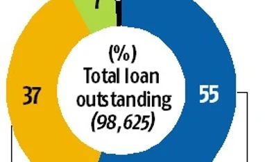 Small loans, big impact: Microfinance now big business at banks chart