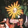 Narendra Modi, Modi, elections, UP