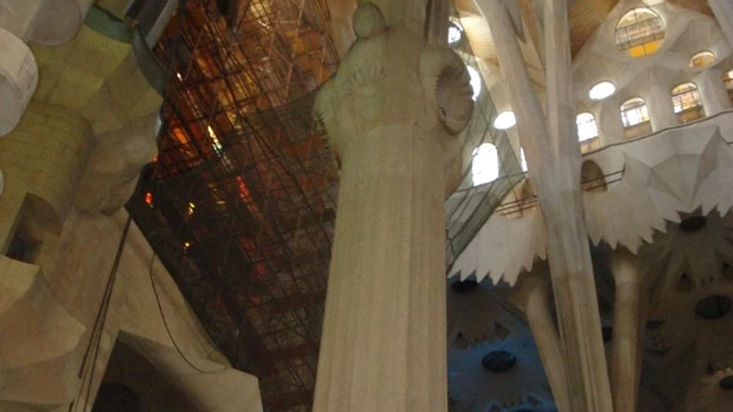 An internal view of the church with columns that look like redwood trees An internal view of the church with columns that look like redwood trees