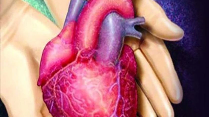 Liver donated to man to save 17-month-old daughter Liver donated to man to save 17-month-old daughter