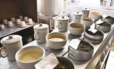 Stirring up a storm in a Darjeeling cup Tea