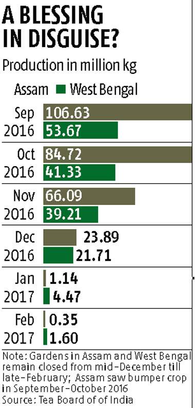 Heavy rain helps Assam tea industry clear stock, but production to ...
