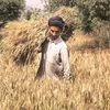 Criticise us but grant loan waiver to farmers: Congress to CM Fadnavis