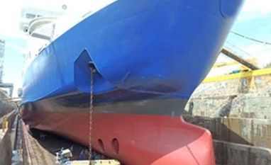 Berger Paints partners with Japan's Chugoku for marine coatings market Marine paints