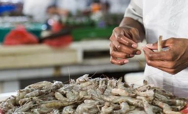 Avanti Feeds, Waterbase extend fall on growth concerns Shrimp