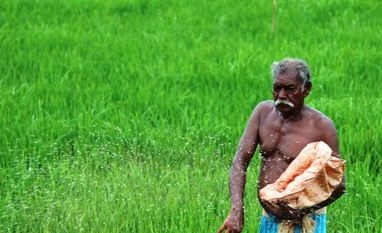 Gujarat Narmada Valley Fertilizers and Chemicals tanks 12% on weak Q3 nos fertiliser