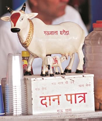 In the name of the cow: What motivates gau rakshaks?
