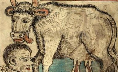 NORDIC NARRATIVE: Audhumla licking Búri out of rime as four rivers of milk pour from her udders. Photo: Wikimedia Commons NORDIC NARRATIVE: Audhumla licking Búri out of rime as four rivers of milk pour from her udders. Photo: Wikimedia Commons