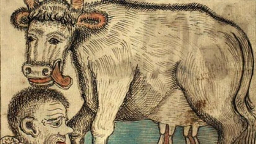 NORDIC NARRATIVE: Audhumla licking Búri out of rime as four rivers of milk pour from her udders. Photo: Wikimedia Commons NORDIC NARRATIVE: Audhumla licking Búri out of rime as four rivers of milk pour from her udders. Photo: Wikimedia Commons