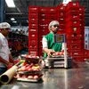 Tata Group to buy 68% stake in BigBasket for Rs 9,500 crore: Report