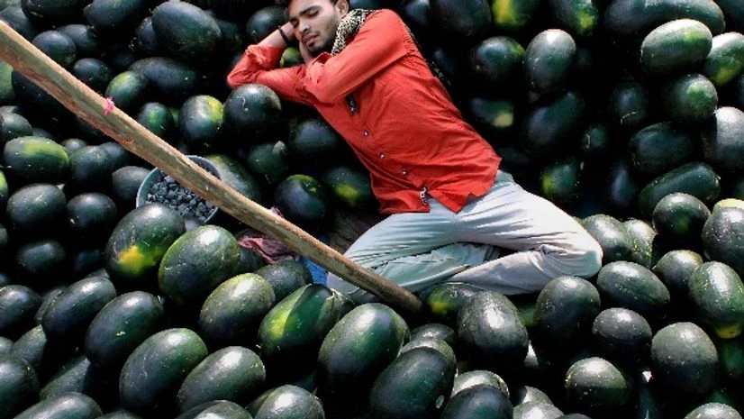 heat, summer, hot, watermelon heat, summer, hot, watermelon