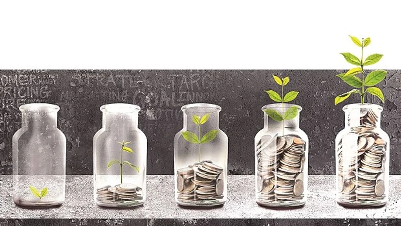 NPS catches investors' fancy NPS catches investors' fancy