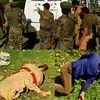 Kulgam terror attack, terrorist attack, Kashmir