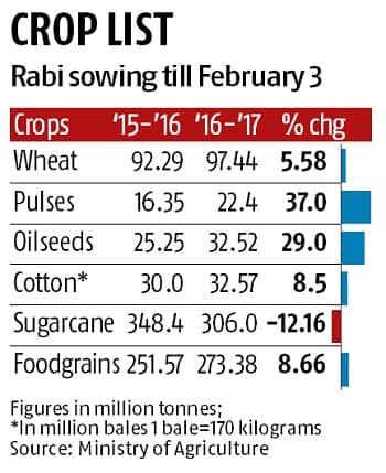 India set for record foodgrain output | Economy & Policy News ...