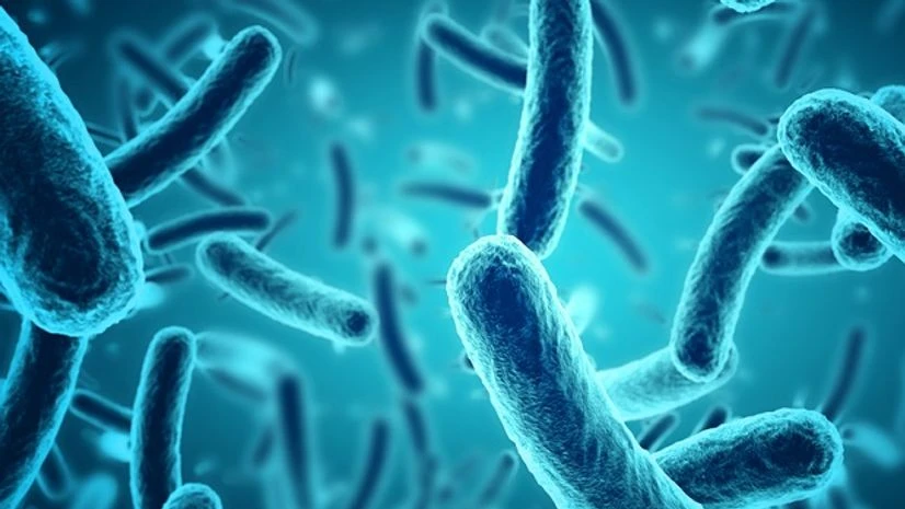 Image: Shutterstock Image: Shutterstock