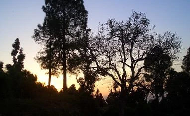 Blissfully off-grid Blissfully off-grid