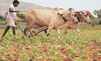 UP farm sector credit flow estimated at Rs 2.94 trillion in FY20-21 Water conservation: Nabard to help 1,00,000 villages before monsoon