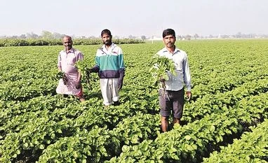 Gujarat polls: Will unite farmers to counter BJP, says Kisan Sabha Farmers