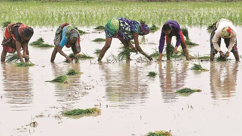 Agriculture Minister wants cheaper credit, not loan waivers Agriculture Minister wants cheaper credit, not loan waivers