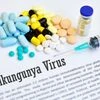 Chikungunya, virus