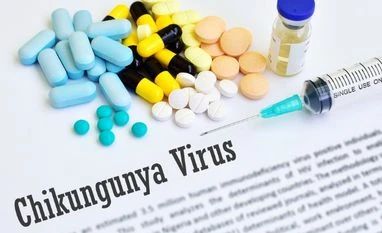Delay in 'Made in India' chikungunya vaccine, researchers seek govt action Chikungunya, virus