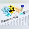 Chikungunya, virus