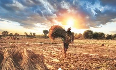 P Sainath: Govt not implementing Swaminathan Report, had promised to Farmer, loan waiver