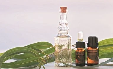 Demand for herbal plants on the rise in UP during Covid-19 crisis herbal