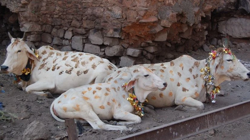 Photo courtesy: Wikipedia Photo courtesy: Wikipedia