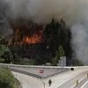 Portugal forest fire