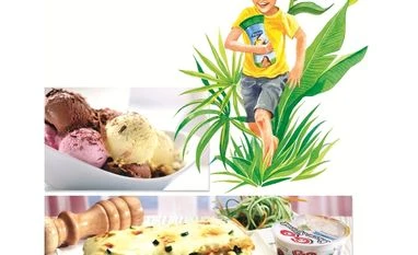 Hatsun Agro soars 18% on SBI Mutual Fund stake buy milk, dairy,