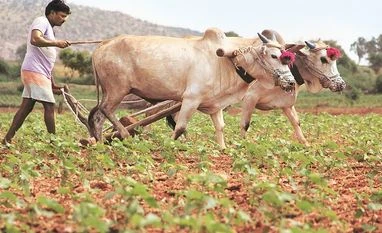 Don't take coercive steps against farmers for loan recovery: SC to banks Don't take coercive steps against farmers for loan recovery: SC to banks