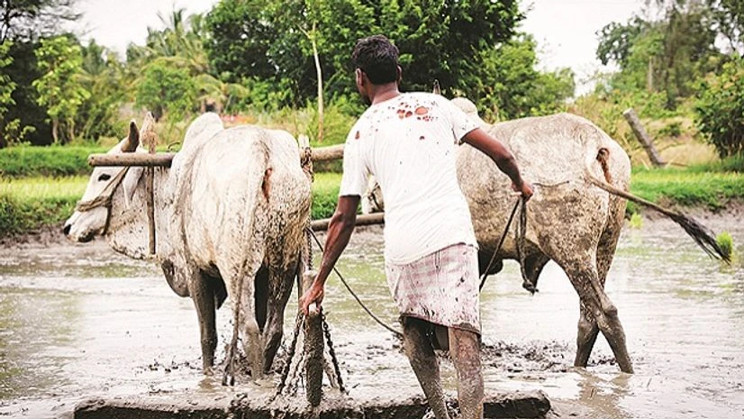 Chhattisgarh farmers: Quiet, but not contented Chhattisgarh farmers: Quiet, but not contented