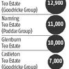 tea prices