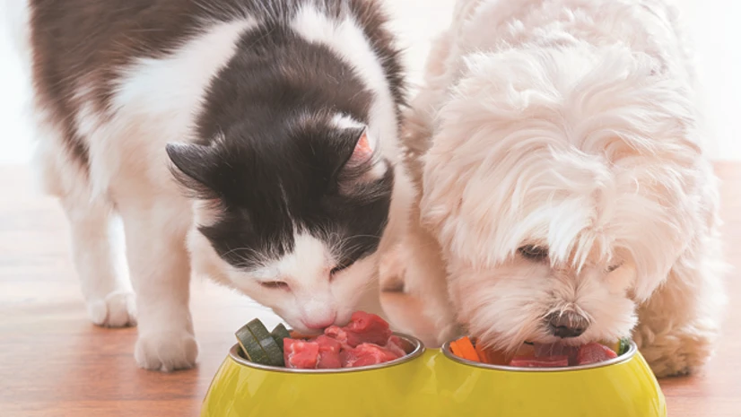 India facing pet food shortages; govt urges industry to boost production |  Economy & Policy News - Business Standard