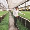 India-Israel agriculture project, Centre of Excellence for Vegetables, Haryana