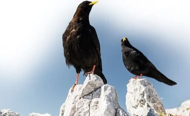 Europe, Switzerland Europe, Switzerland