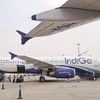 Indigo Airlines
