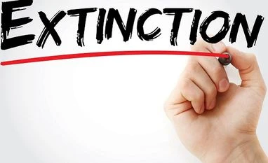 Over 28,000 species are officially threatened, with more likely to come Photo: Shutterstock